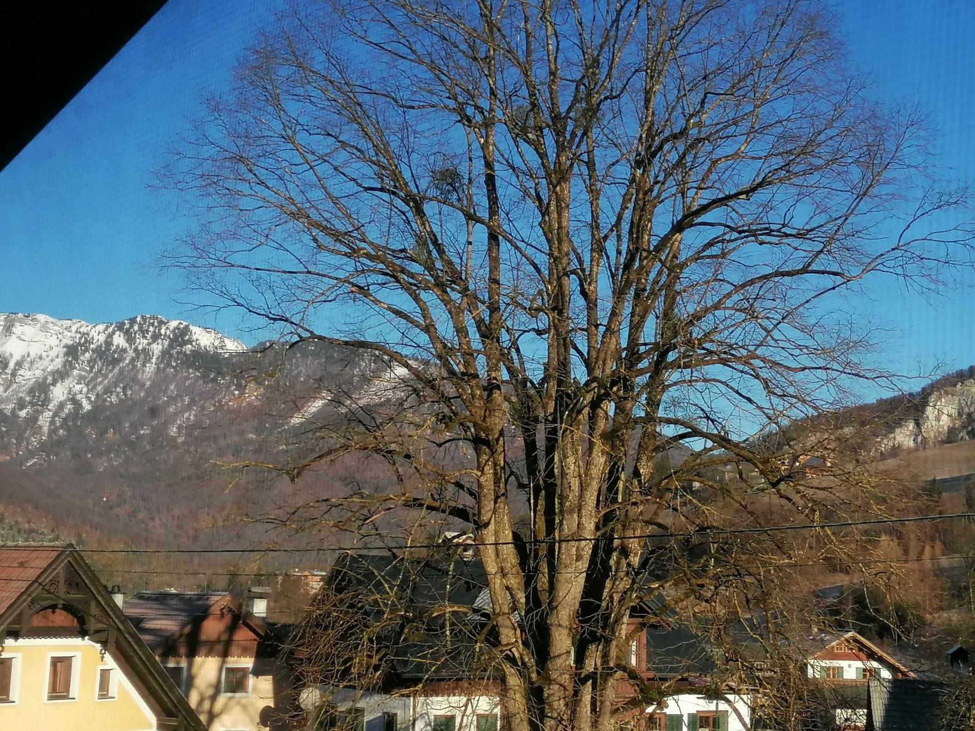 Appartement Alpenblumal à Bad Goisern Extérieur photo