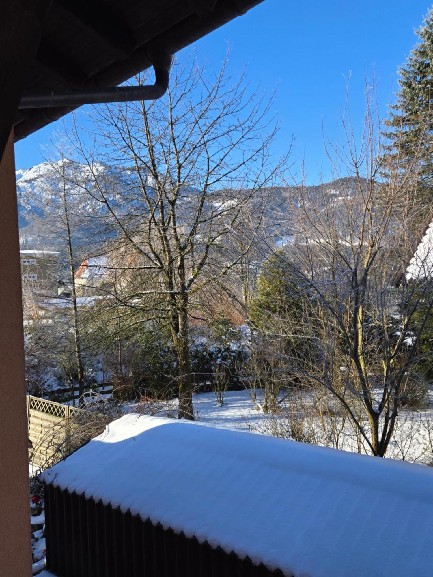 Appartement Alpenblumal à Bad Goisern Extérieur photo